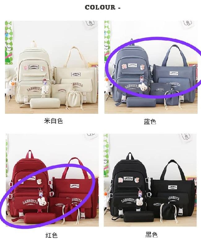 5in1 backpack