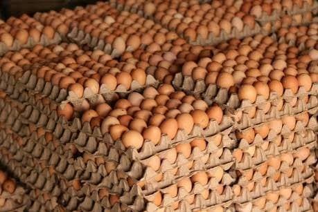 Crate of Eggs