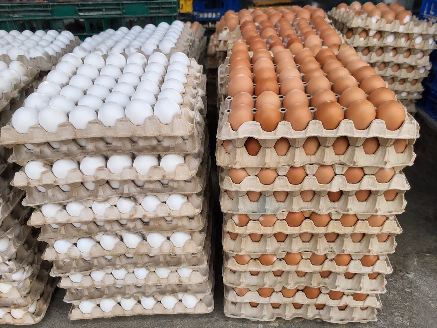 Fresh Eggs