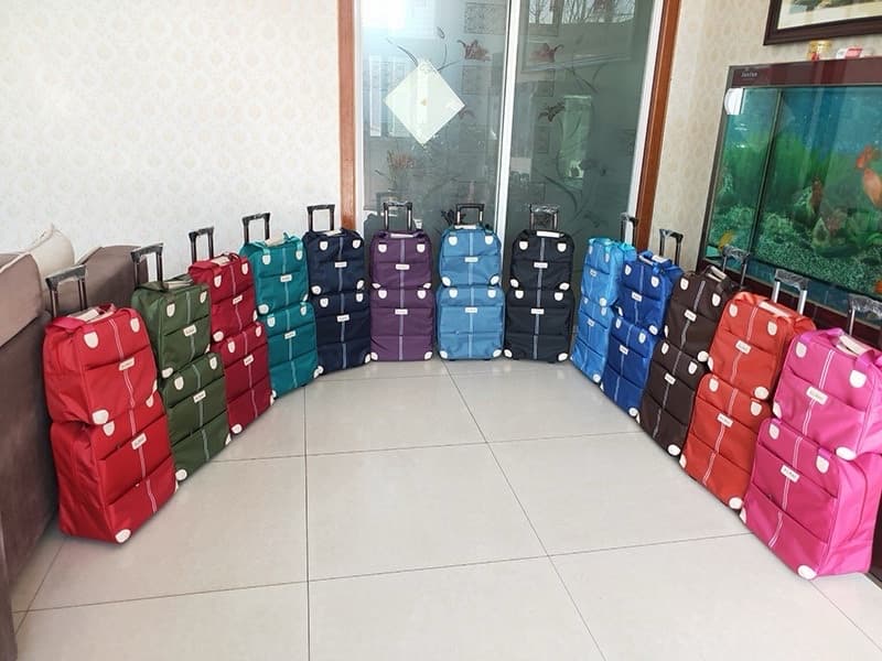 2in1 traveling bag