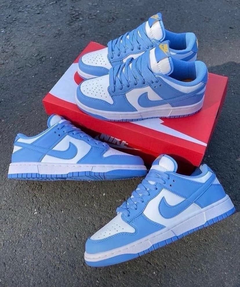 Nike Dunk Low Coast