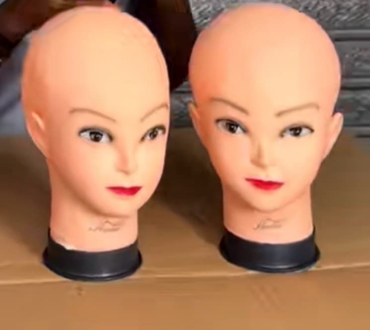 Sakora head