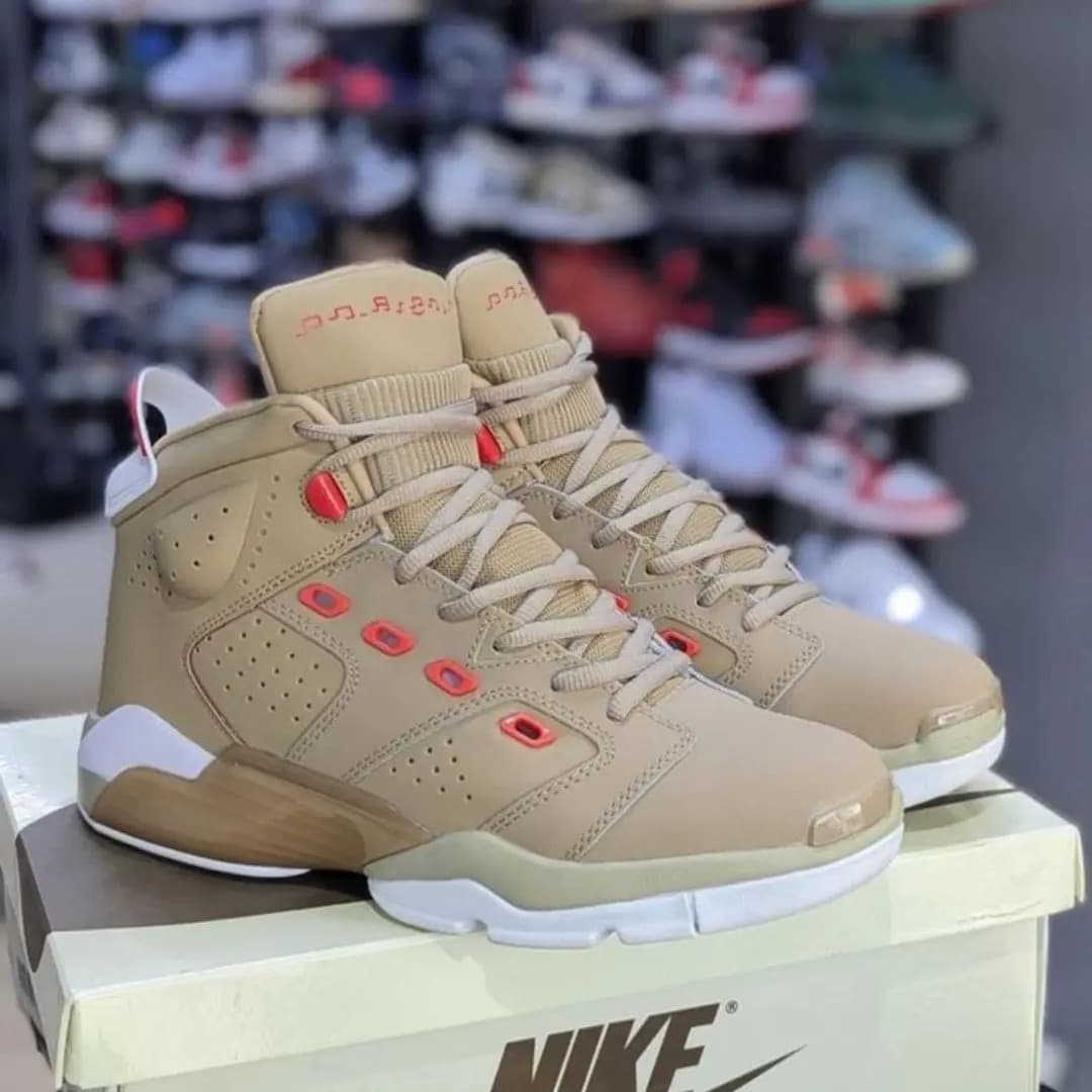 Air Jordan 6