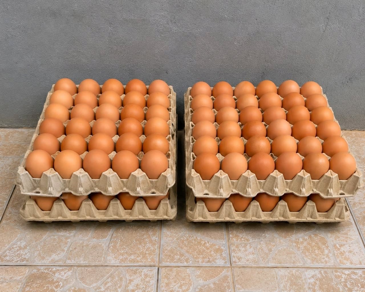 1 crate of egg